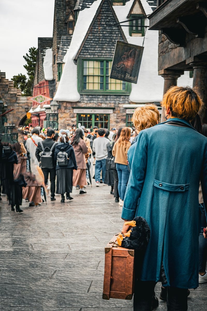 Hermione Granger - Harry Potter Series